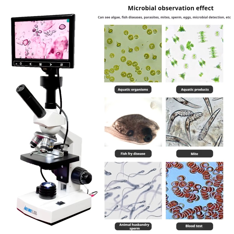 Mikroskop Digital WEIAI 7 inci - Digital Microscope ulasan dan harga